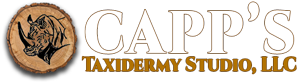 Capp's Taxidermy Studio - Anaconda MT