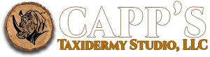 Capp's Taidermy Studio, LLC Global Wildlife Artistry - US - African