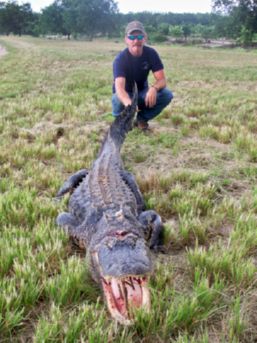 Don With Alligator